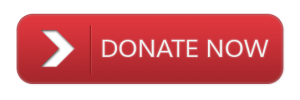 donate-3-icon