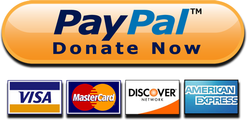 PayPal Donate Now button